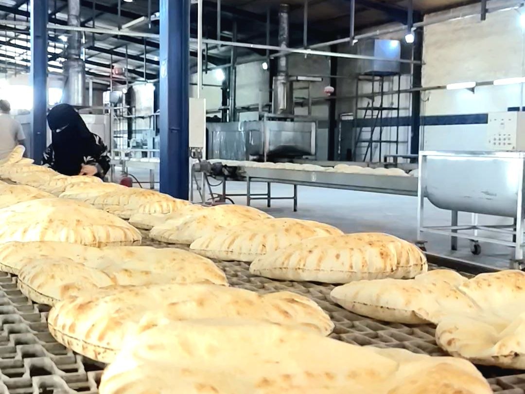 إعفاء عاملين وفسخ عقود واسترداد أموال للدولة بعد جولة رقابية في دير الزور