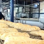 إعفاء عاملين وفسخ عقود واسترداد أموال للدولة بعد جولة رقابية في دير الزور